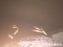 Filename=attachID_29827_postID_271483_IMG_1014.JPG
Filesize=65KiB
Dimensions=1000x750
Date added=Oct 21, 2017 attachID_29827_postID_271483_IMG_1014.JPG