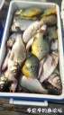 Filename=attachID_29993_postID_273193_IMG_20170612_205214.jpg
Filesize=72KiB
Dimensions=562x1000
Date added=Oct 21, 2017 attachID_29993_postID_273193_IMG_20170612_205214.jpg