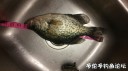 Filename=attachID_30077_postID_273661_IMG_20170617_31431.jpg
Filesize=69KiB
Dimensions=1000x562
Date added=Oct 21, 2017 attachID_30077_postID_273661_IMG_20170617_31431.jpg