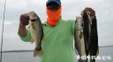 Filename=attachID_30108_postID_273784_DSC04838.JPG
Filesize=56KiB
Dimensions=1000x562
Date added=Oct 21, 2017 attachID_30108_postID_273784_DSC04838.JPG