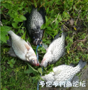 attachID_30115_postID_273870_20170617.PNG