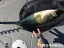Filename=attachID_30254_postID_274789_IMG_3445.JPG
Filesize=209KiB
Dimensions=1000x750
Date added=Oct 21, 2017 attachID_30254_postID_274789_IMG_3445.JPG