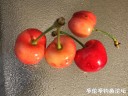 Filename=attachID_30394_postID_276372_IMG_1188.JPG
Filesize=122KiB
Dimensions=1000x750
Date added=Oct 21, 2017 attachID_30394_postID_276372_IMG_1188.JPG