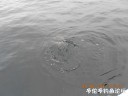 Filename=attachID_30402_postID_276395_DSCN1032.JPG
Filesize=55KiB
Dimensions=1000x750
Date added=Oct 21, 2017 attachID_30402_postID_276395_DSCN1032.JPG