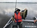 Filename=attachID_30405_postID_276443_IMG_0173.JPG
Filesize=83KiB
Dimensions=1000x750
Date added=Oct 21, 2017 attachID_30405_postID_276443_IMG_0173.JPG