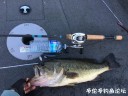 Filename=attachID_30446_postID_276775_IMG_3609.JPG
Filesize=148KiB
Dimensions=1000x750
Date added=Oct 21, 2017 attachID_30446_postID_276775_IMG_3609.JPG