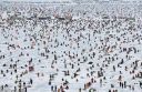 Filename=attachID_3047_postID_24064_001.jpg
Filesize=202KiB
Dimensions=964x632
Date added=Dec 02, 2016 attachID_3047_postID_24064_001.jpg