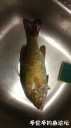 Filename=attachID_30581_postID_277837_IMG_20170710_28121.jpg
Filesize=65KiB
Dimensions=562x1000
Date added=Oct 21, 2017 attachID_30581_postID_277837_IMG_20170710_28121.jpg