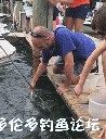 Filename=attachID_30734_postID_279423__00Ca.gif
Filesize=81KiB
Dimensions=310x401
Date added=Oct 21, 2017 attachID_30734_postID_279423__00Ca.gif