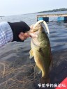Filename=attachID_30774_postID_279633_IMG_0699.JPG
Filesize=92KiB
Dimensions=750x1000
Date added=Oct 21, 2017 attachID_30774_postID_279633_IMG_0699.JPG