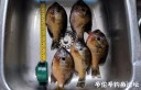 Filename=attachID_30839_postID_280407___27e.jpg
Filesize=100KiB
Dimensions=1000x647
Date added=Oct 21, 2017 attachID_30839_postID_280407___27e.jpg