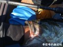 Filename=attachID_30858_postID_280599_IMG_2984.JPG
Filesize=120KiB
Dimensions=1000x750
Date added=Oct 21, 2017 attachID_30858_postID_280599_IMG_2984.JPG