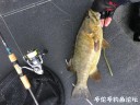 Filename=attachID_30917_postID_281230_IMG_3904.JPG
Filesize=177KiB
Dimensions=1000x750
Date added=Oct 21, 2017 attachID_30917_postID_281230_IMG_3904.JPG