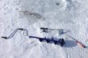 Filename=attachID_3093_postID_24401_pike.png
Filesize=1615KiB
Dimensions=1124x740
Date added=Dec 02, 2016 attachID_3093_postID_24401_pike.png