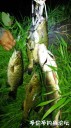 Filename=attachID_30952_postID_281539_WeiXinTuPian_20170811130825.jpg
Filesize=110KiB
Dimensions=562x1000
Date added=Oct 21, 2017 attachID_30952_postID_281539_WeiXinTuPian_20170811130825.jpg