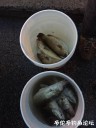 Filename=attachID_30954_postID_281539_WeiXinTuPian_20170811130728.jpg
Filesize=88KiB
Dimensions=750x1000
Date added=Oct 21, 2017 attachID_30954_postID_281539_WeiXinTuPian_20170811130728.jpg