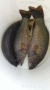 Filename=attachID_30955_postID_281539_WeiXinTuPian_20170811130816.jpg
Filesize=59KiB
Dimensions=563x1000
Date added=Oct 21, 2017 attachID_30955_postID_281539_WeiXinTuPian_20170811130816.jpg