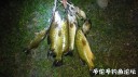 Filename=attachID_30958_postID_281539_WeiXinTuPian_20170811130747.jpg
Filesize=109KiB
Dimensions=1000x562
Date added=Oct 21, 2017 attachID_30958_postID_281539_WeiXinTuPian_20170811130747.jpg