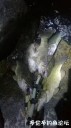 Filename=attachID_30959_postID_281539_WeiXinTuPian_20170811130803.jpg
Filesize=74KiB
Dimensions=562x1000
Date added=Oct 21, 2017 attachID_30959_postID_281539_WeiXinTuPian_20170811130803.jpg