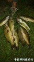 attachID_30960_postID_281539_WeiXinTuPian_20170811130759.jpg