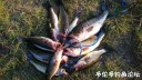 Filename=attachID_30961_postID_281539_WeiXinTuPian_20170811130756.jpg
Filesize=140KiB
Dimensions=1000x563
Date added=Oct 21, 2017 attachID_30961_postID_281539_WeiXinTuPian_20170811130756.jpg