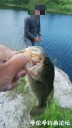 Filename=attachID_30963_postID_281539_WeiXinTuPian_20170811131752.jpg
Filesize=62KiB
Dimensions=563x1000
Date added=Oct 21, 2017 attachID_30963_postID_281539_WeiXinTuPian_20170811131752.jpg