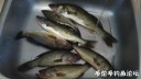 Filename=attachID_30967_postID_281539_WeiXinTuPian_20170811131441.jpg
Filesize=54KiB
Dimensions=1000x563
Date added=Oct 21, 2017 attachID_30967_postID_281539_WeiXinTuPian_20170811131441.jpg
