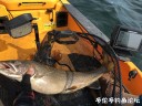 Filename=attachID_30995_postID_281746_IMG_4038.JPG
Filesize=154KiB
Dimensions=1000x750
Date added=Oct 21, 2017 attachID_30995_postID_281746_IMG_4038.JPG