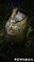 Filename=attachID_31010_postID_281807_IMG_20170816_232524.jpg
Filesize=56KiB
Dimensions=562x1000
Date added=Oct 21, 2017 attachID_31010_postID_281807_IMG_20170816_232524.jpg