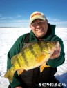 Filename=attachID_31104_postID_282345_yellow_perch.jpg
Filesize=89KiB
Dimensions=762x1000
Date added=Oct 21, 2017 attachID_31104_postID_282345_yellow_perch.jpg