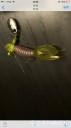 Filename=attachID_31105_postID_282351_image.jpg
Filesize=48KiB
Dimensions=562x1000
Date added=Oct 21, 2017 attachID_31105_postID_282351_image.jpg