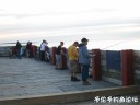 attachID_31191_postID_282964_31.jpg