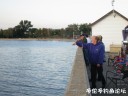 attachID_31192_postID_282964_32.jpg