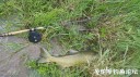 Filename=attachID_31230_postID_283203_20170905_150709.jpg
Filesize=166KiB
Dimensions=1000x562
Date added=Oct 21, 2017 attachID_31230_postID_283203_20170905_150709.jpg