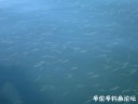 Filename=attachID_31238_postID_283261_4.jpg
Filesize=39KiB
Dimensions=1000x750
Date added=Oct 21, 2017 attachID_31238_postID_283261_4.jpg