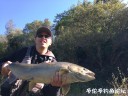 Filename=attachID_31260_postID_283571_IMG_3776.JPG
Filesize=136KiB
Dimensions=1000x750
Date added=Oct 21, 2017 attachID_31260_postID_283571_IMG_3776.JPG