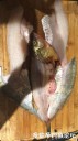 Filename=attachID_31368_postID_284630_IMG_3629.JPG
Filesize=86KiB
Dimensions=562x1000
Date added=Oct 21, 2017 attachID_31368_postID_284630_IMG_3629.JPG