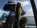 Filename=attachID_31442_postID_285358___27x.jpg
Filesize=79KiB
Dimensions=1000x752
Date added=Oct 21, 2017 attachID_31442_postID_285358___27x.jpg