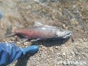 attachID_31449_postID_285512_IMG_20170923_095401.jpg