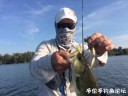 Filename=attachID_31554_postID_286130_mmexport1506433689226.jpg
Filesize=83KiB
Dimensions=1000x750
Date added=Oct 21, 2017 attachID_31554_postID_286130_mmexport1506433689226.jpg