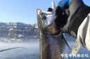 Filename=attachID_31593_postID_286515_kayak_sunset2.jpg
Filesize=105KiB
Dimensions=1000x660
Date added=Oct 21, 2017 attachID_31593_postID_286515_kayak_sunset2.jpg