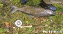 Filename=attachID_31707_postID_287276_IMG_20171005_46918.jpg
Filesize=144KiB
Dimensions=1000x562
Date added=Oct 21, 2017 attachID_31707_postID_287276_IMG_20171005_46918.jpg