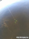 Filename=attachID_31708_postID_287280_IMG_20171005_100733.jpg
Filesize=44KiB
Dimensions=750x1000
Date added=Oct 21, 2017 attachID_31708_postID_287280_IMG_20171005_100733.jpg