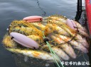 Filename=attachID_31740_postID_287547_1.jpg
Filesize=120KiB
Dimensions=979x734
Date added=Oct 21, 2017 attachID_31740_postID_287547_1.jpg
