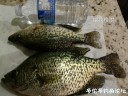 Filename=attachID_31850_postID_288372_IMG_20171014_221052_mh1508034289716.jpg
Filesize=131KiB
Dimensions=1000x750
Date added=Oct 21, 2017 attachID_31850_postID_288372_IMG_20171014_221052_mh1508034289716.jpg