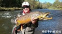 Filename=attachID_31916_postID_289087_IMG-20171018-WA0005.jpg
Filesize=139KiB
Dimensions=1000x562
Date added=Oct 21, 2017 attachID_31916_postID_289087_IMG-20171018-WA0005.jpg