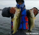Filename=attachID_31968_postID_289683_100k.jpg
Filesize=99KiB
Dimensions=1000x892
Date added=May 17, 2018 attachID_31968_postID_289683_100k.jpg