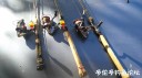 Filename=attachID_31972_postID_289714_IMG_20171022_144505.jpg
Filesize=74KiB
Dimensions=1000x562
Date added=May 17, 2018 attachID_31972_postID_289714_IMG_20171022_144505.jpg