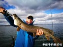 Filename=attachID_32034_postID_290618_mmexport1509075935842.jpg
Filesize=110KiB
Dimensions=1000x750
Date added=May 17, 2018 attachID_32034_postID_290618_mmexport1509075935842.jpg