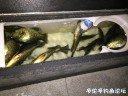 attachID_32067_postID_290908_653D3DA1-15B7-432E-8720-65D4863513C0.jpeg